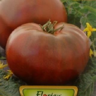 Черен домат-0.2gr.