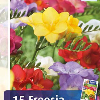 Freesia Single Mixed-10бр