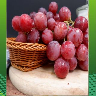 Ред Глоуб /студоустойчив/