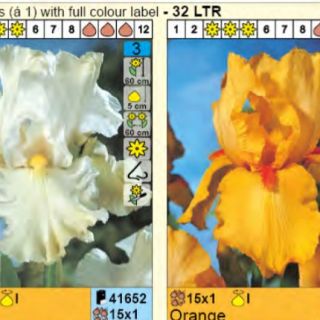 Шоубокс Iris GERMANICA В 4х15бр