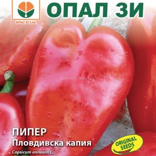 Пипер-ПЛОВДИВСКА КАПИЯ