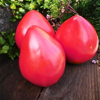 Домати "РОЗОВО СЪРЦЕ"-0.5гр-ОРИГИНАЛНА ОПАКОВКА