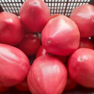 Домати "РОЗОВО СЪРЦЕ"-0.5гр-ОРИГИНАЛНА ОПАКОВКА