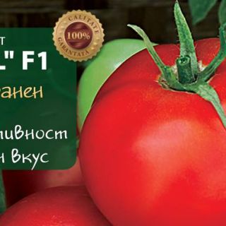 Домати ФИНАЛ F1-50сем.