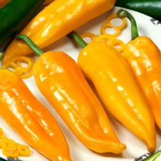 Пипер Corno di toro giallo