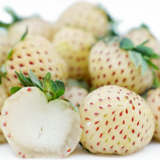 Fragaria Ananassa Pineberry-2бр.коренища БЕЛИ ЯГОДИ