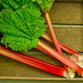 РЕВЕН BIETOLA DA COSTE RED RHUBARB