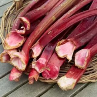 РЕВЕН BIETOLA DA COSTE RED RHUBARB