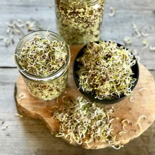 Семена за кълнове от Кейл (Kale)-100гр