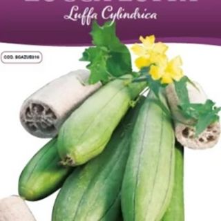 Луфа /Естествена гъба за баня/ Луфа /Естествена гъба за баня/