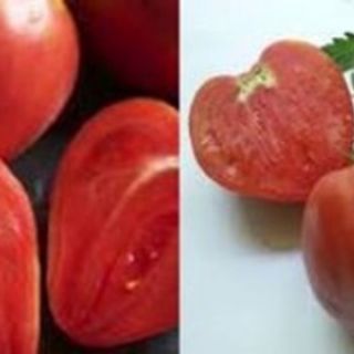 Домати Биволско сърце