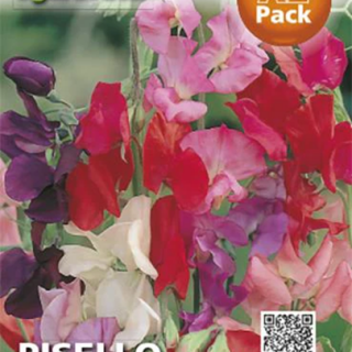 Декоративен грах. Декоративен грах.