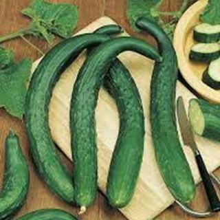 Краставици Lungo Della Cina