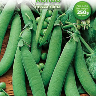 Градински грах RONDO Градински грах RONDO