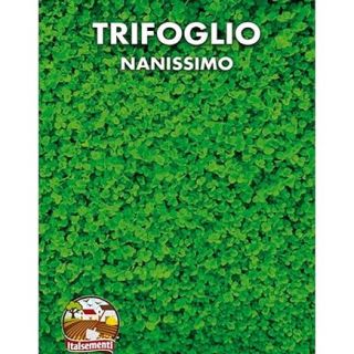 Нано бяла детелина с микро листа без косене