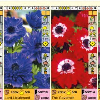 Шоубокс АНЕМОНЕ-1200бр. Шоубокс АНЕМОНЕ-1200бр.