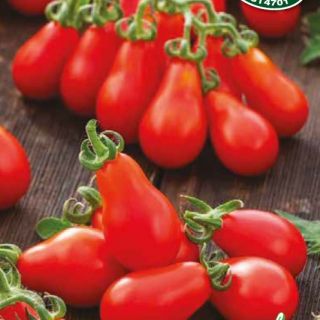 Домат чери червено крушовидно / Red Pear