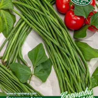 Градински зелен фасул UN METRO 