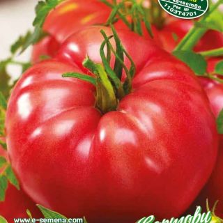 Домати F1 РОЗОВИ УСТОЙЧИВИ